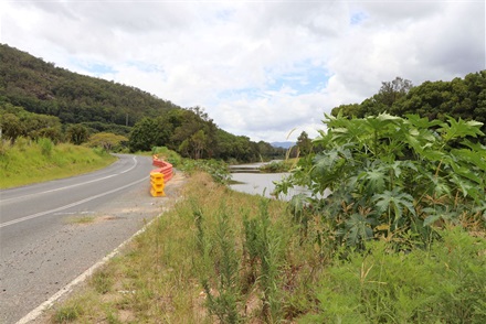 Kyogle Road adjacent to the Tweed River on the way to Uki (5).JPG