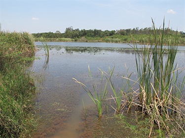 Manyasi dam