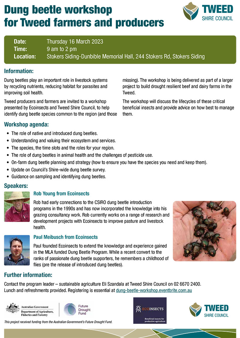 Dung beetle workshop flyer