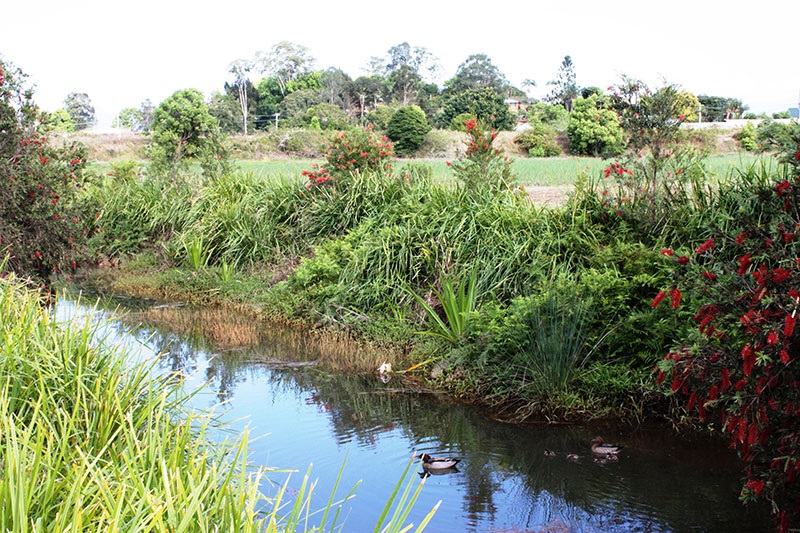 Greenbank with 3 years of growth