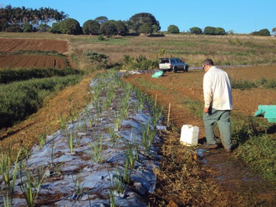 Native plants help to keep the earth berm stable