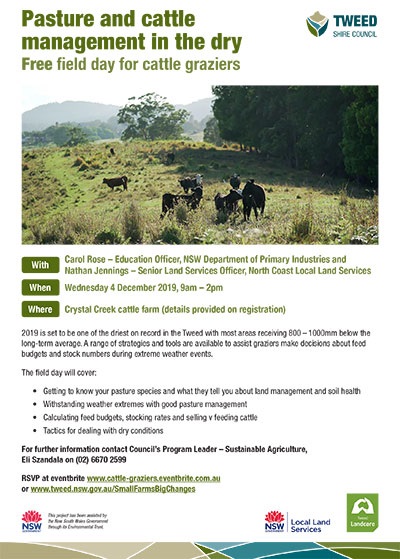 Small farms big changes pasture cattle management