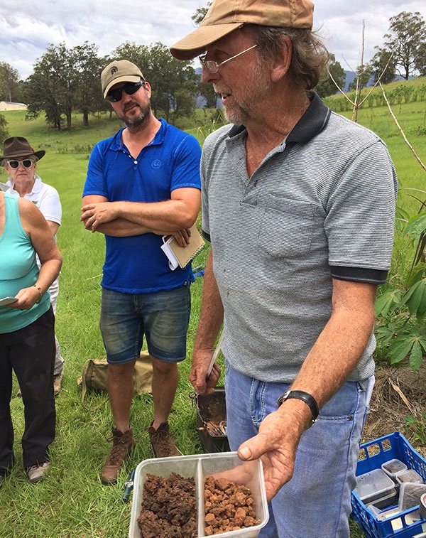 Soil improvement plan