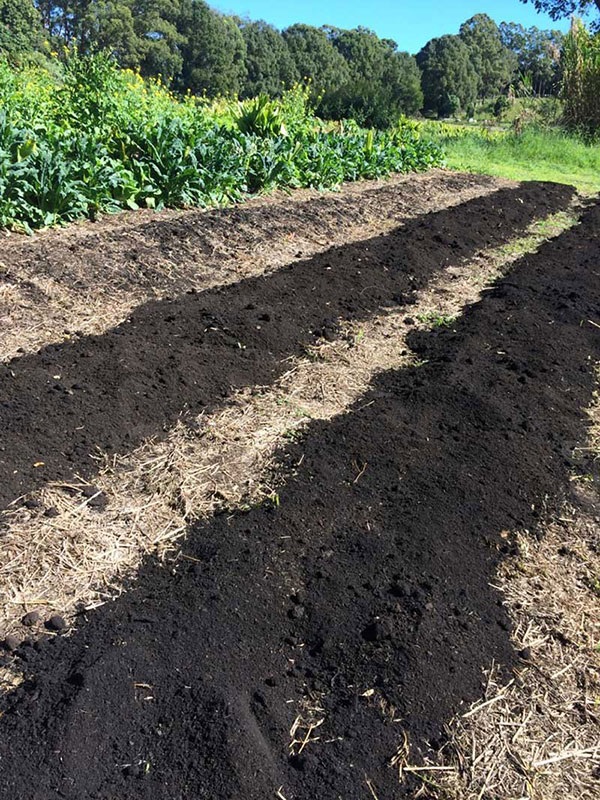 Sustainable agriculture