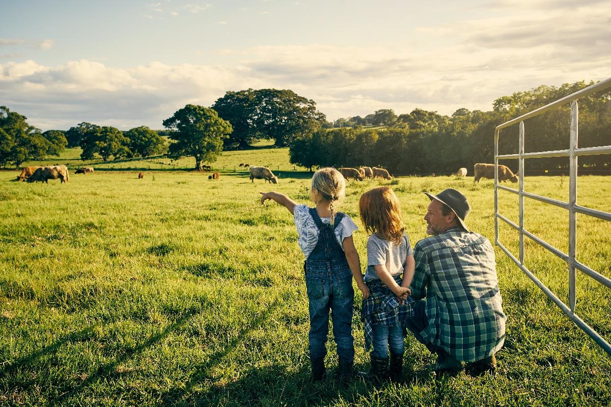 Livestock and other animals | Tweed Shire Council Livestock and other animals | Tweed Shire Council
