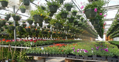 Plant nursery