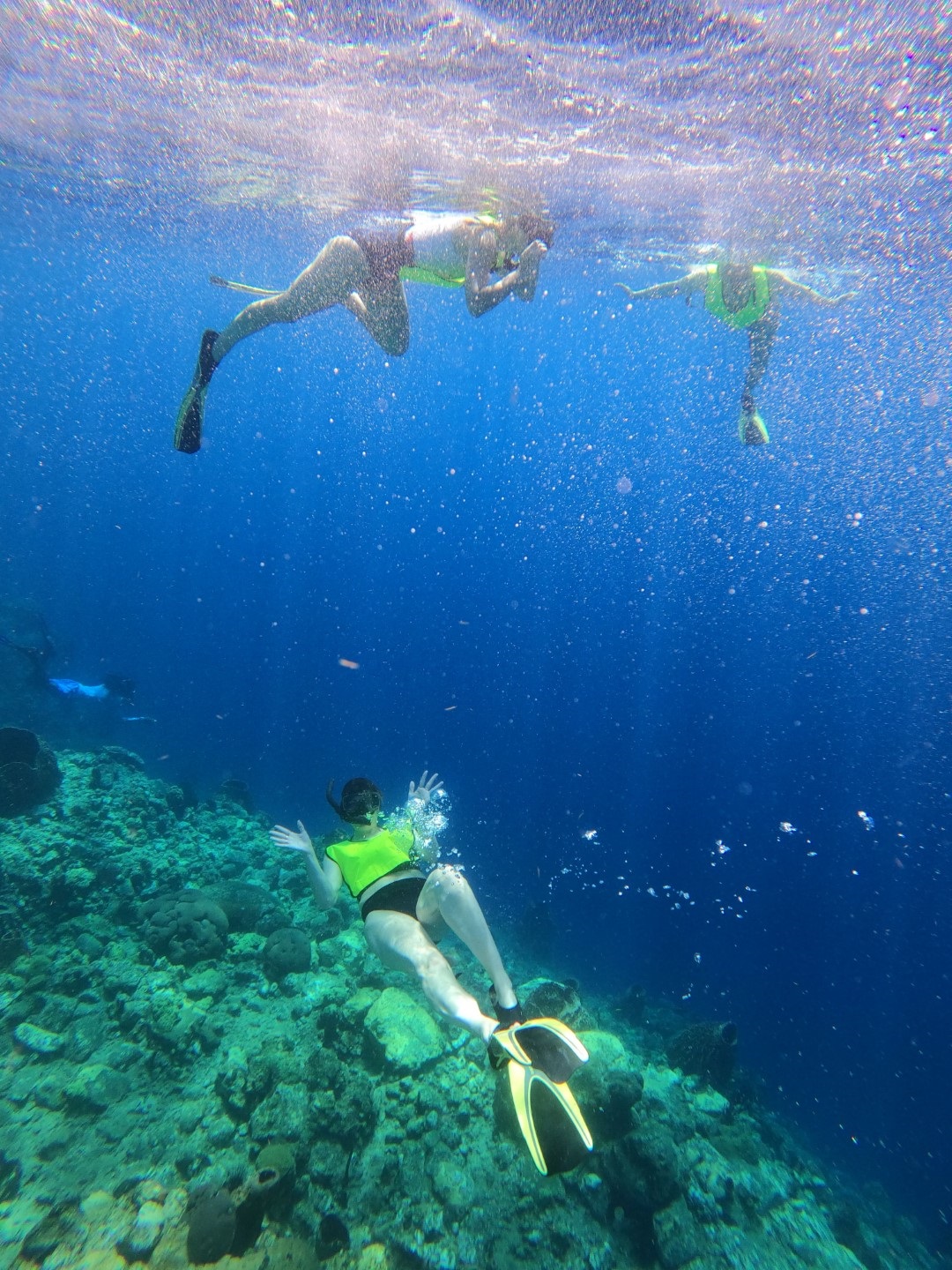snorkelling-Large.jpg