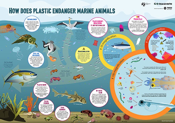 How does plastic endanger marine animals
