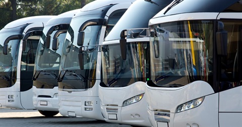 Buses.jpg