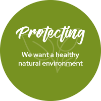 CSP theme - Protecting