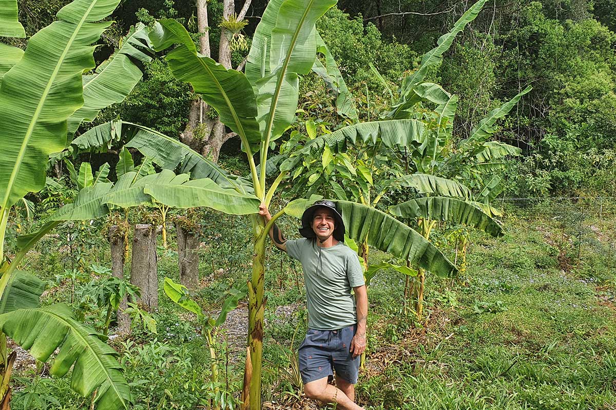 Man leaning on banana tree