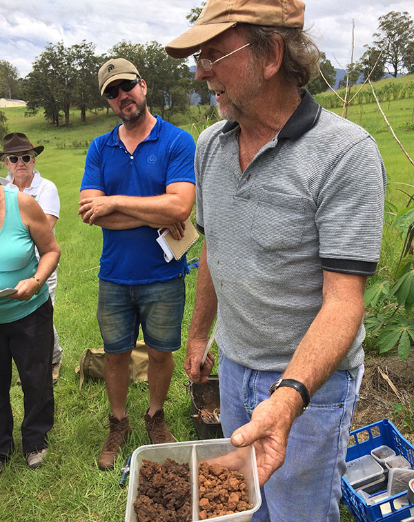 Soil improvement plan