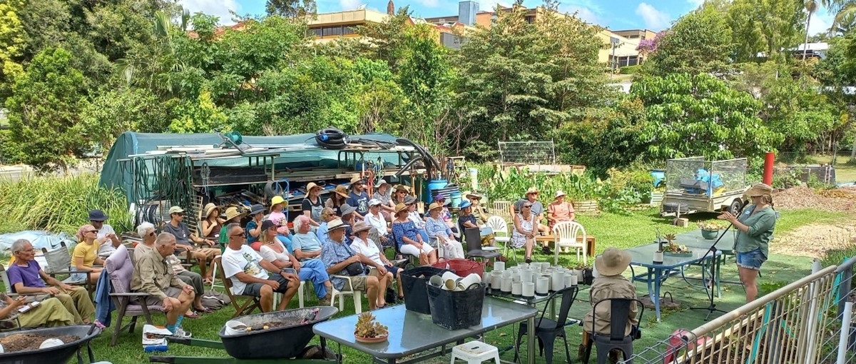 Native bee workshop