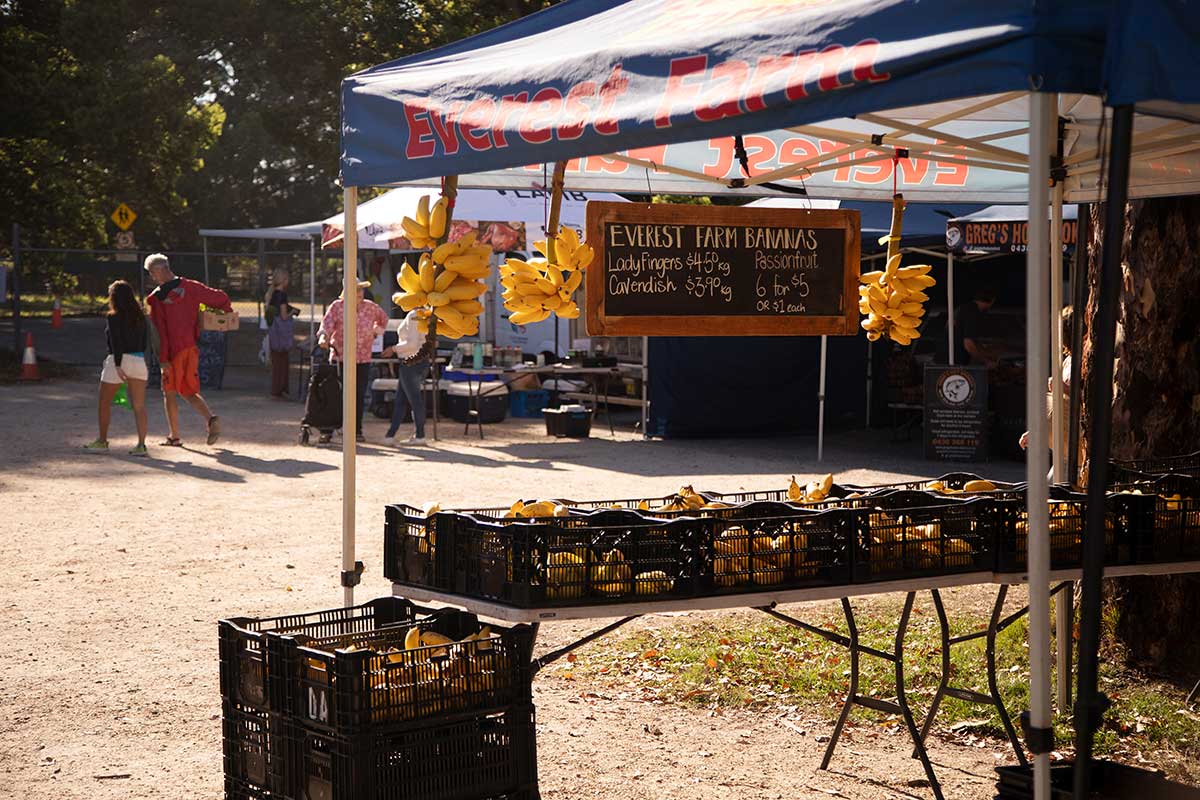 murwillumbah-farmers-market-community-sustainability-2.jpg