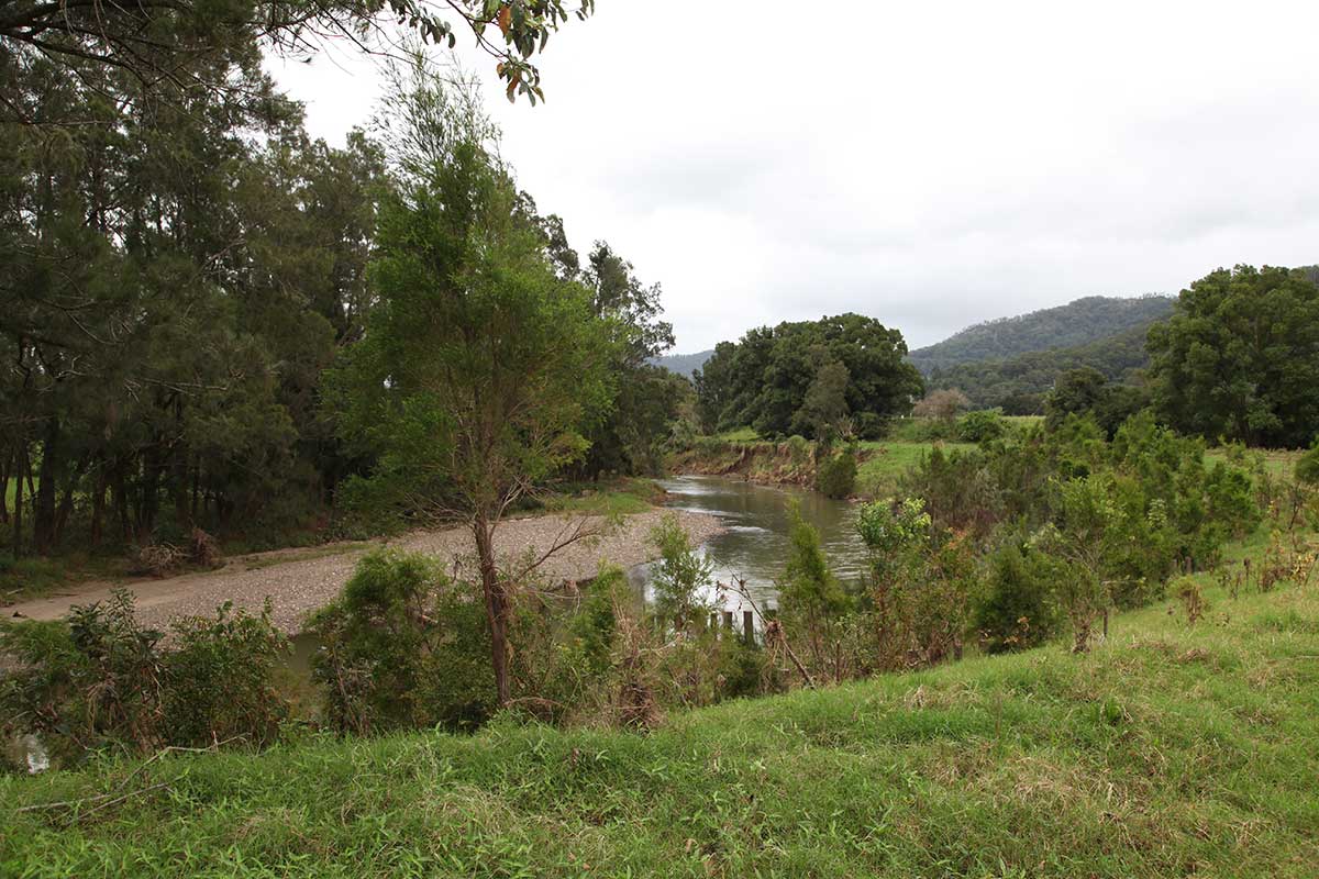 Established riparian restoration
