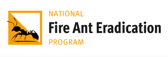 NFAEP logo.PNG