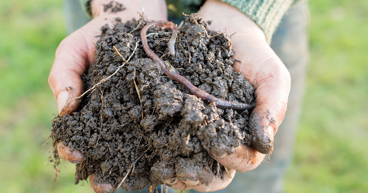 Composting