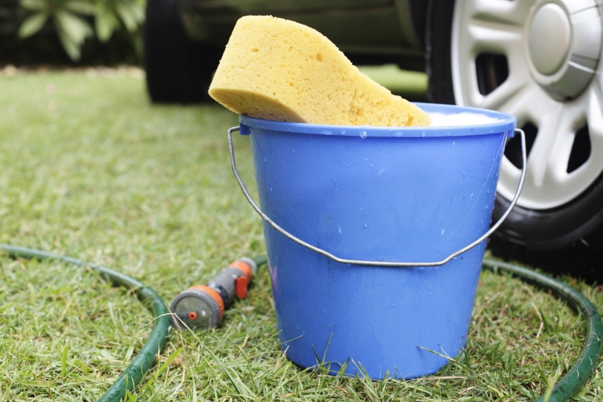 Blue bucket of water, hose and sponge to wash car.