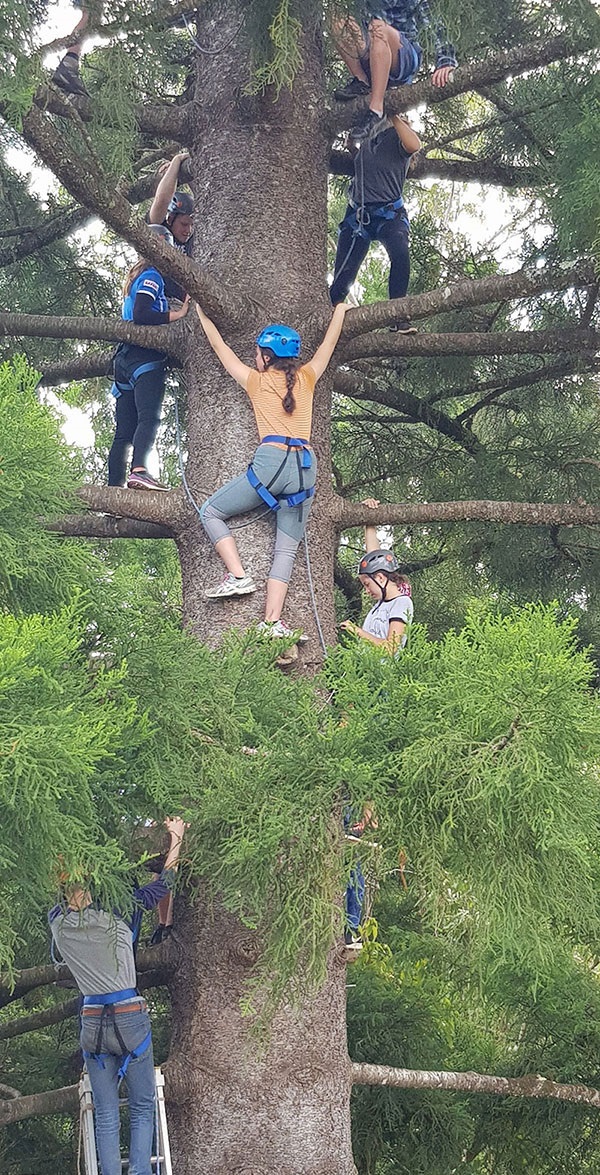 Environmental Leadership Program tree climb