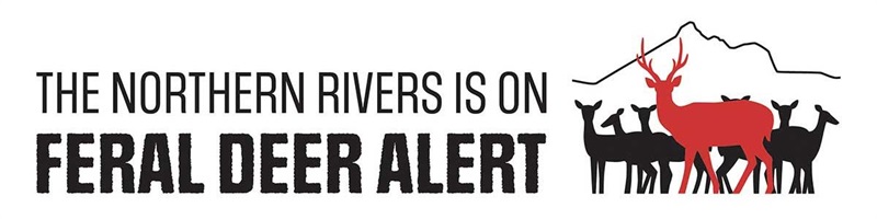 The Northern Rivers is on Feral Deer Alert