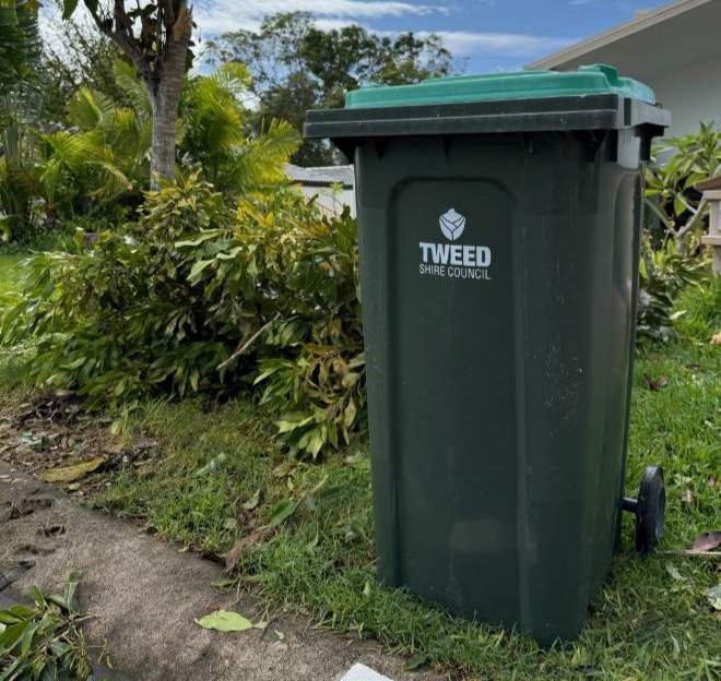 green_bin_with_green_waste_1563078-3110819.jpg